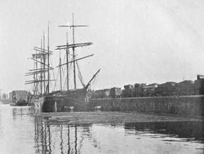 Unloading timber for pit props at the Town Dock, circa 1905